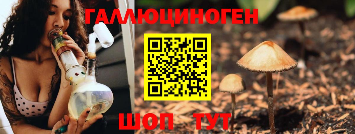 Псилоцибиновые грибы MAGIC MUSHROOMS  Вход с VPN  Обнинск 